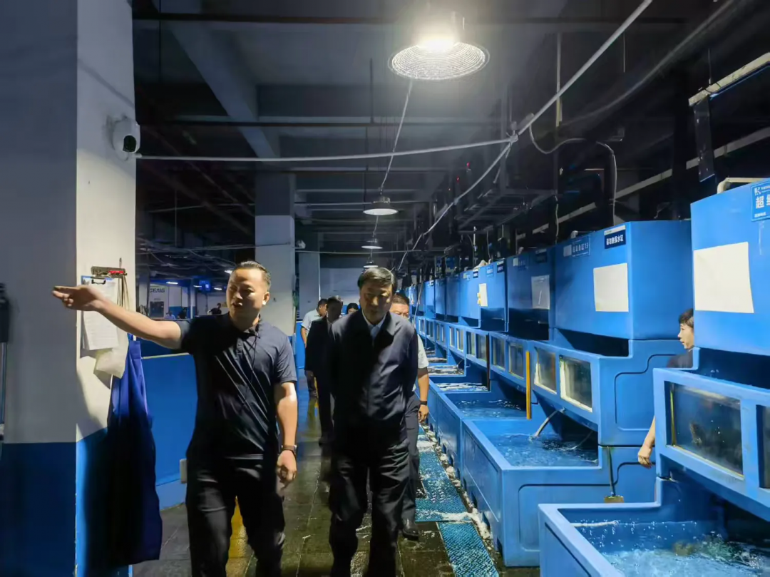 劉耿調(diào)研三亞環(huán)農(nóng)海鮮集采分銷(xiāo)中心運(yùn)營(yíng)情況 